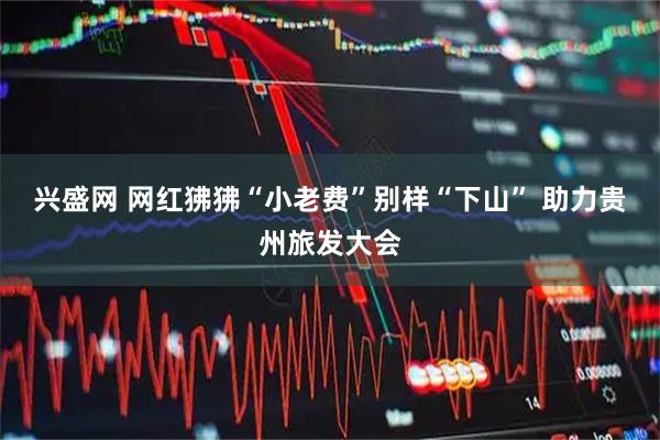 兴盛网 网红狒狒“小老费”别样“下山” 助力贵州旅发大会